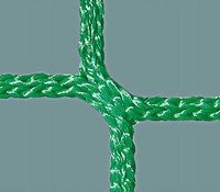 Safety net quality green