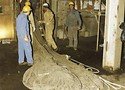 Safety net, flame retardant