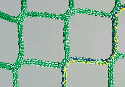 3000-060