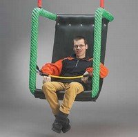 Swing for the physically impaired