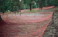 Crop nets