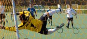 Sport nets