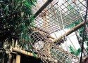 Net tunnel
