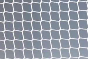 4mm white net close up