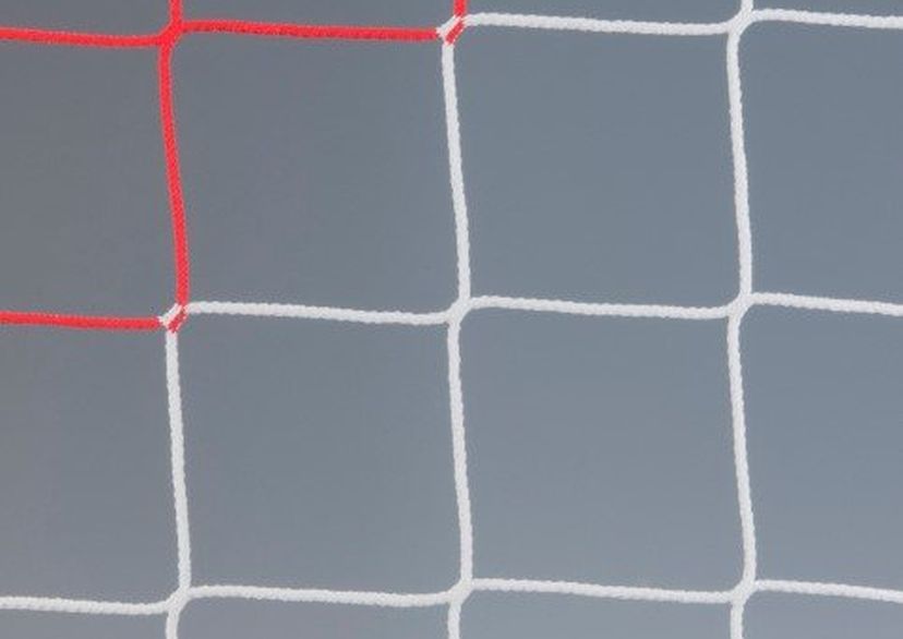 ball stop netting