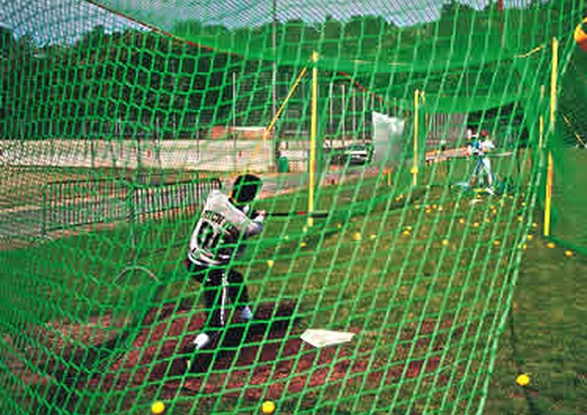 baseball tunnel netting