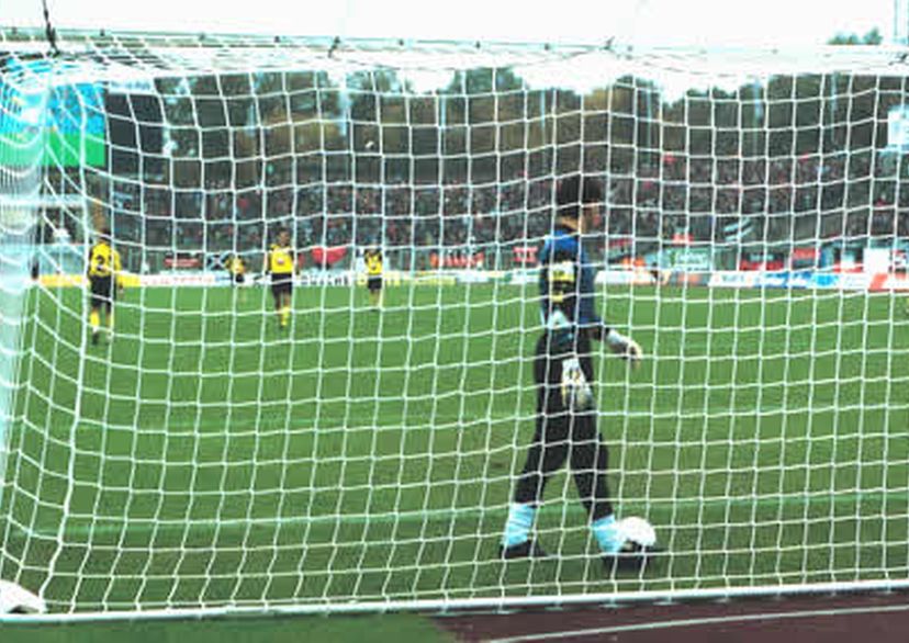 biodegradable box style goal net