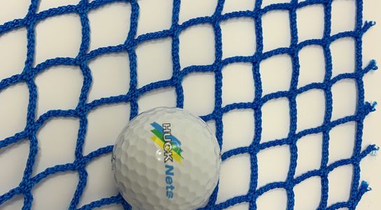 blue golf net