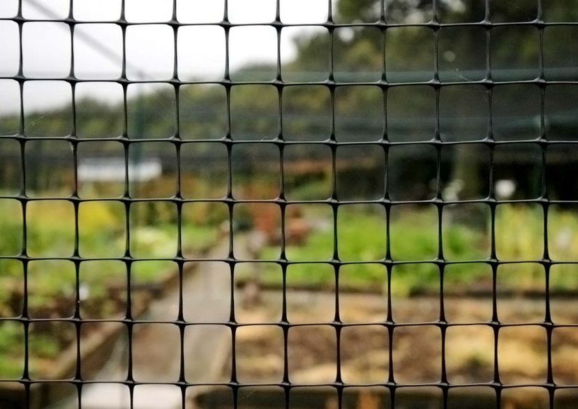 fruit cage side netting