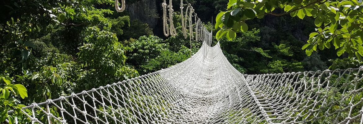 Choosing the Right Netting for a Project Netting options