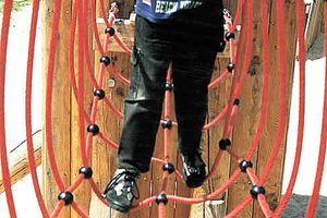 Simple net bridge