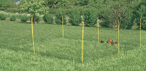 How to Build a Chicken Run That's Secure: A Step-By-Step Guide