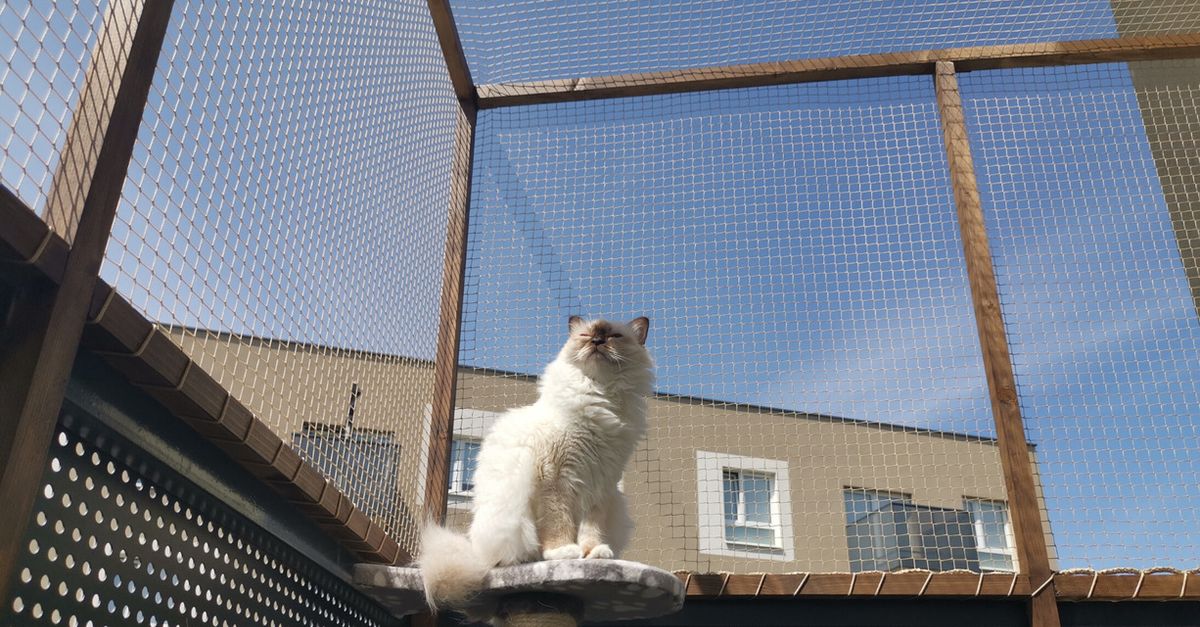 Cat containment/exclusion netting - Huck