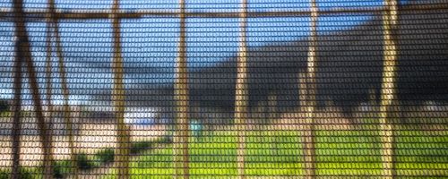 The Best Privacy Netting for Gardens: A Comprehensive Guide Garden Privacy Netting