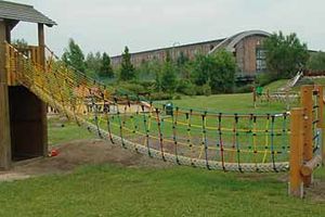 Jungle bridge