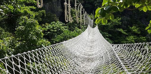 Netting options