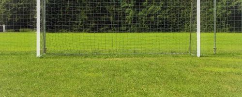 How Big is a Football Goal: From Youths to Professionals How Big is a Football Goal