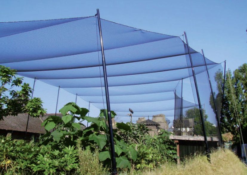 Aviary Netting