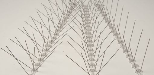 bird deterrent spikes