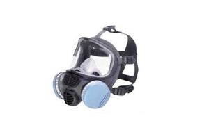 Promask Full Face P3 Mask