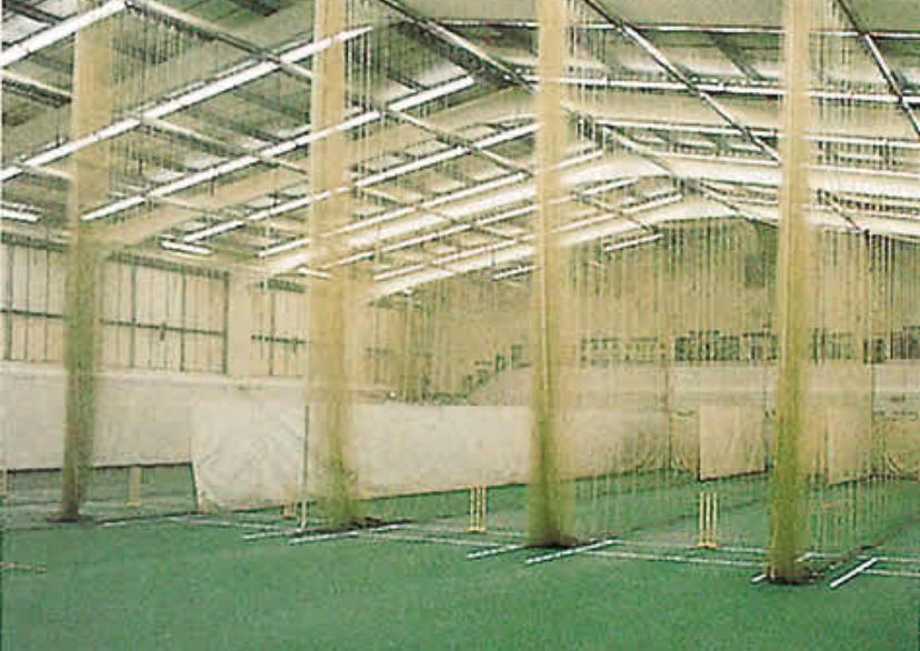 Indoor Cheltenham cricket nets