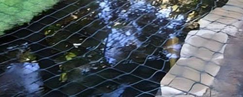 Fish Pond Netting Buyer's Guide Fish pond with netting protection