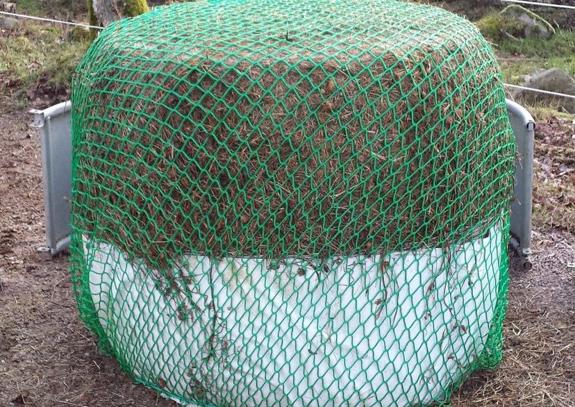 horse feed net