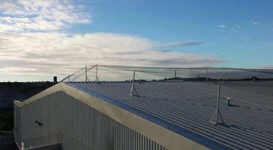 Roof Install