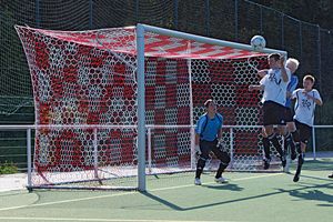 check football nets