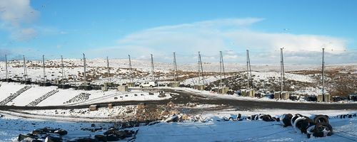 Stornaway Litter Nets