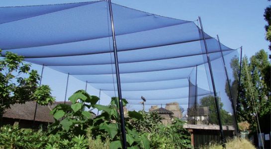 aviary netting