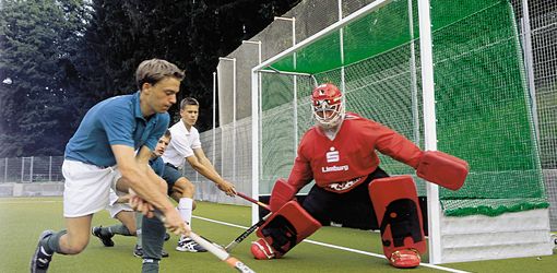 hockey goal, net and keeper