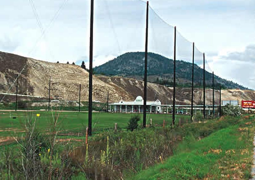 Standard Driving Range Net - 50m x 2m