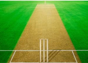 Cricket Pitch Dimensions