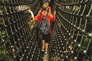 Net tunnel
