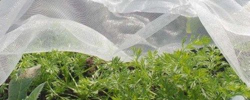 DIY Insect Nets for Windows to Keep Your Home Bug Free Insect Nets for Windows