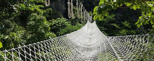 Choosing the Right Netting for a Project Netting options