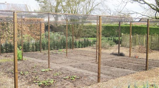 bird netting