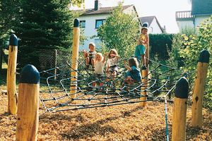 Spider web net