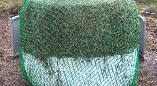 horse feed net