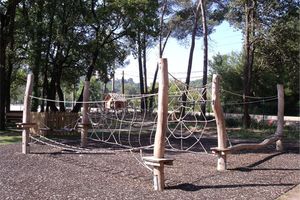 Robinia posts, separate
