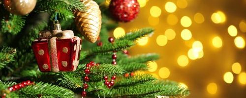 Christmas shutdown 2022 Huck Nets Christmas Shutdown dates 2022
