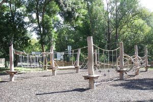 Robinia posts, separate