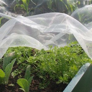 Insect Nets for Windows