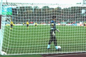 biodegradable box style goal net