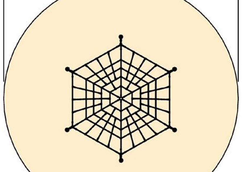 Spider-web net 3