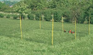 How to Build a Chicken Run That's Secure: A Step-By-Step Guide