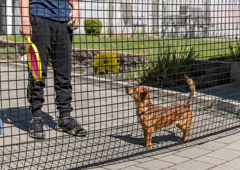 Abperrnetz in Hofeinfahrt mit Hund und Leuten hinter dem Netz