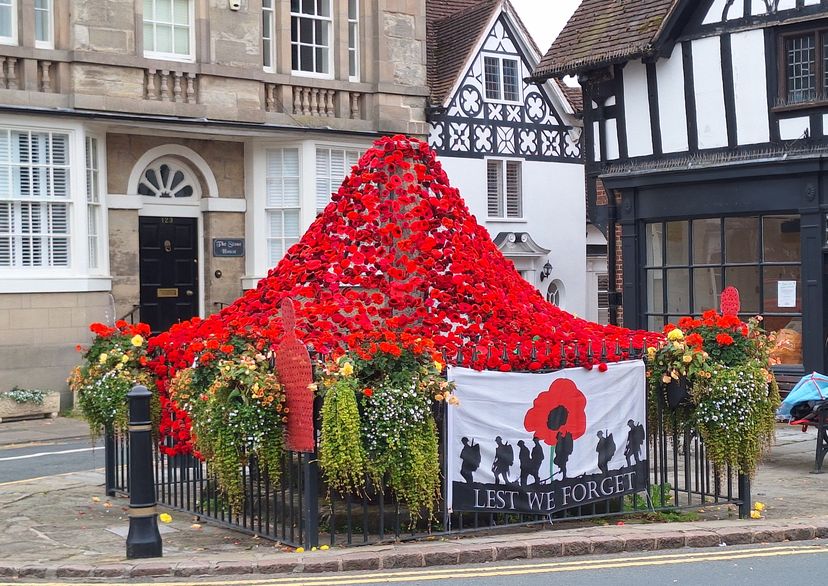 1mm x 50mm used for Poppy display