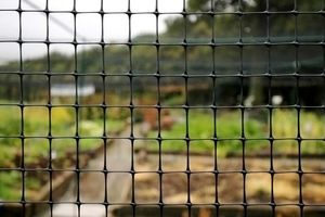 fruit cage side netting